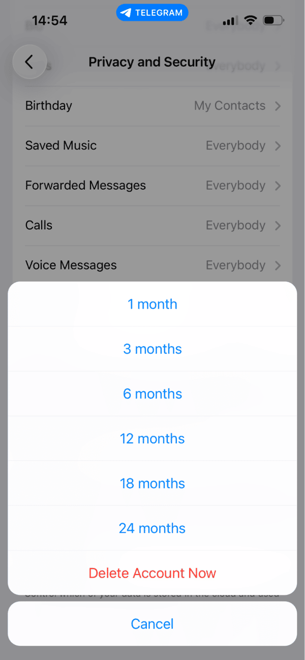 Settings in Telegram app - Privacy and Security