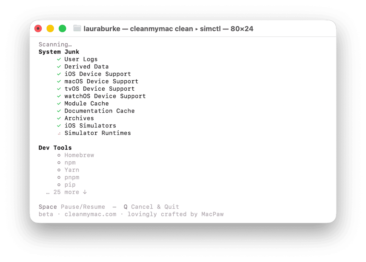 CleanMyMac CLI scanning System Junk and Dev Tools with cleanmymac clean