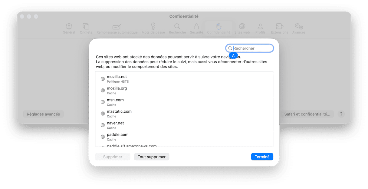 Cliquez sur G&eacute;rer les donn&eacute;es de sites web > Tout supprimer