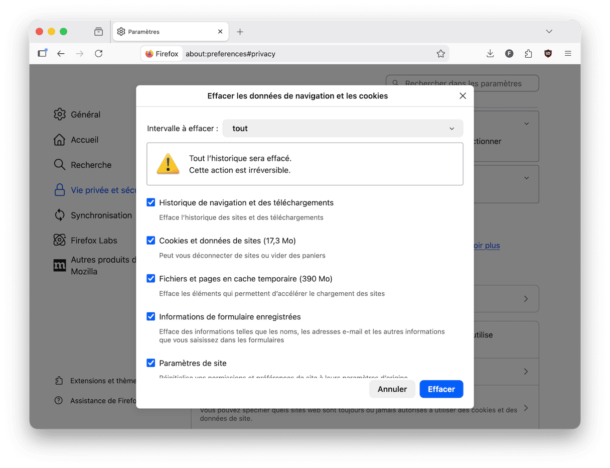 Dans le menu d&eacute;roulant, choisissez Tout, puis cochez toutes les cases et cliquez sur le bouton Effacer