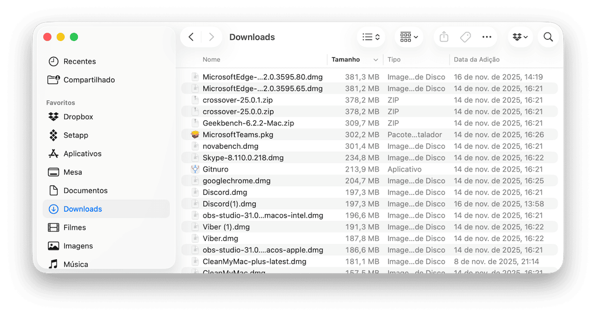 Limpe a pasta Downloads