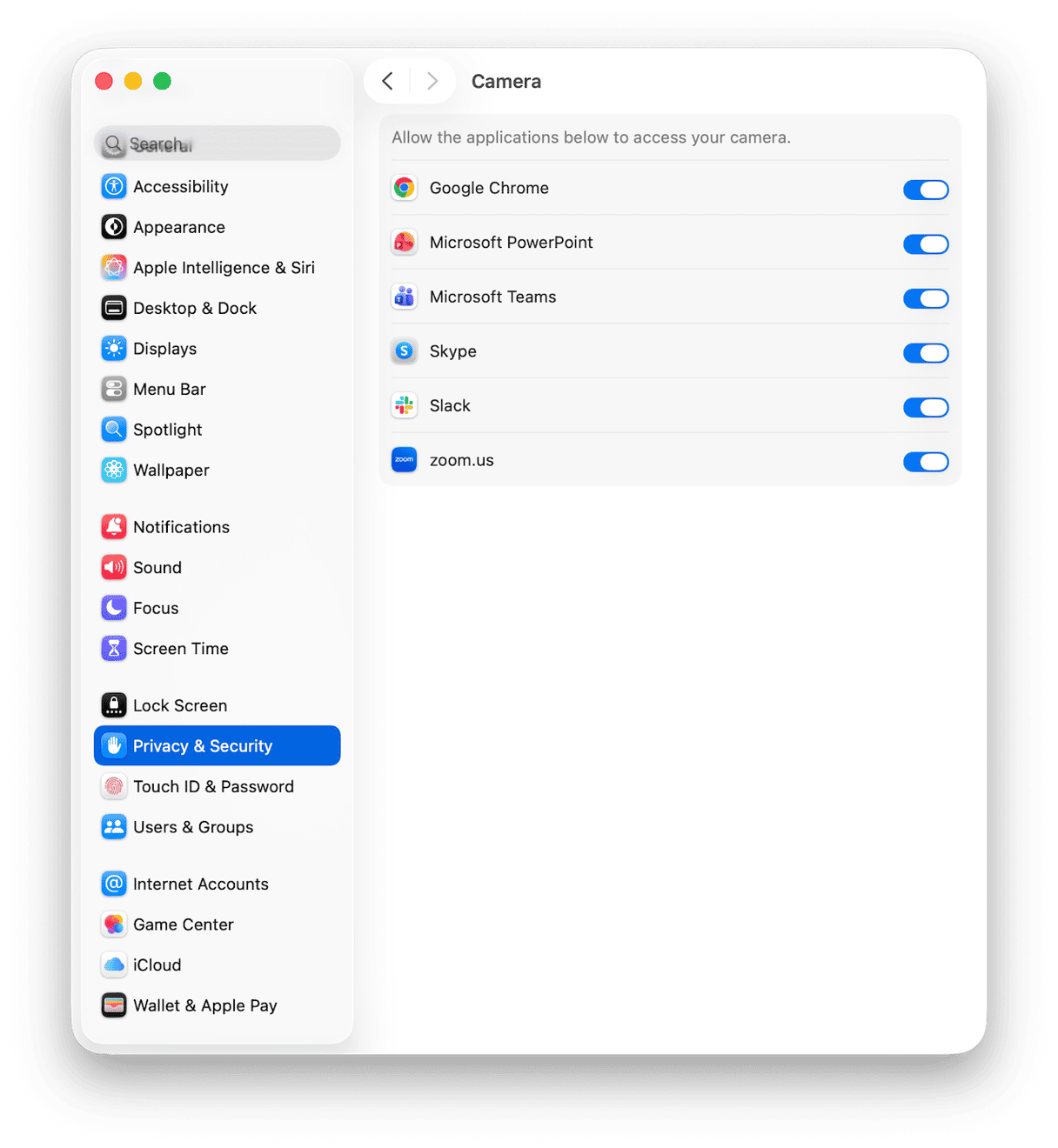 review System Settings > Privacy & Security for Camera