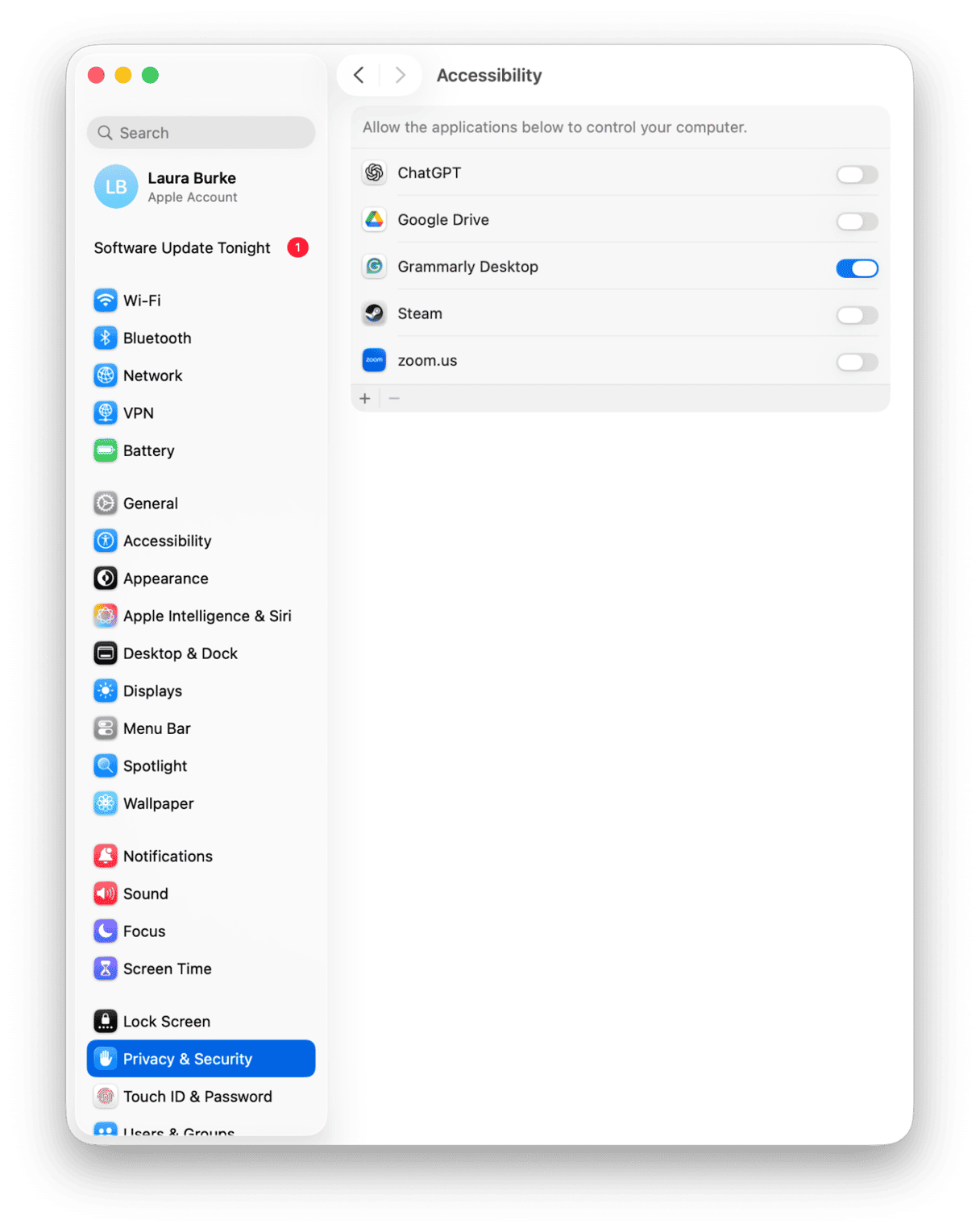 Accessibility settings on Mac