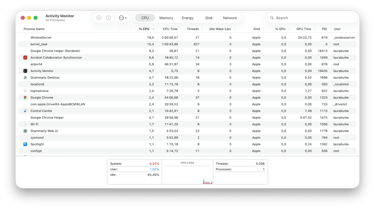 Activity Monitor on Mac