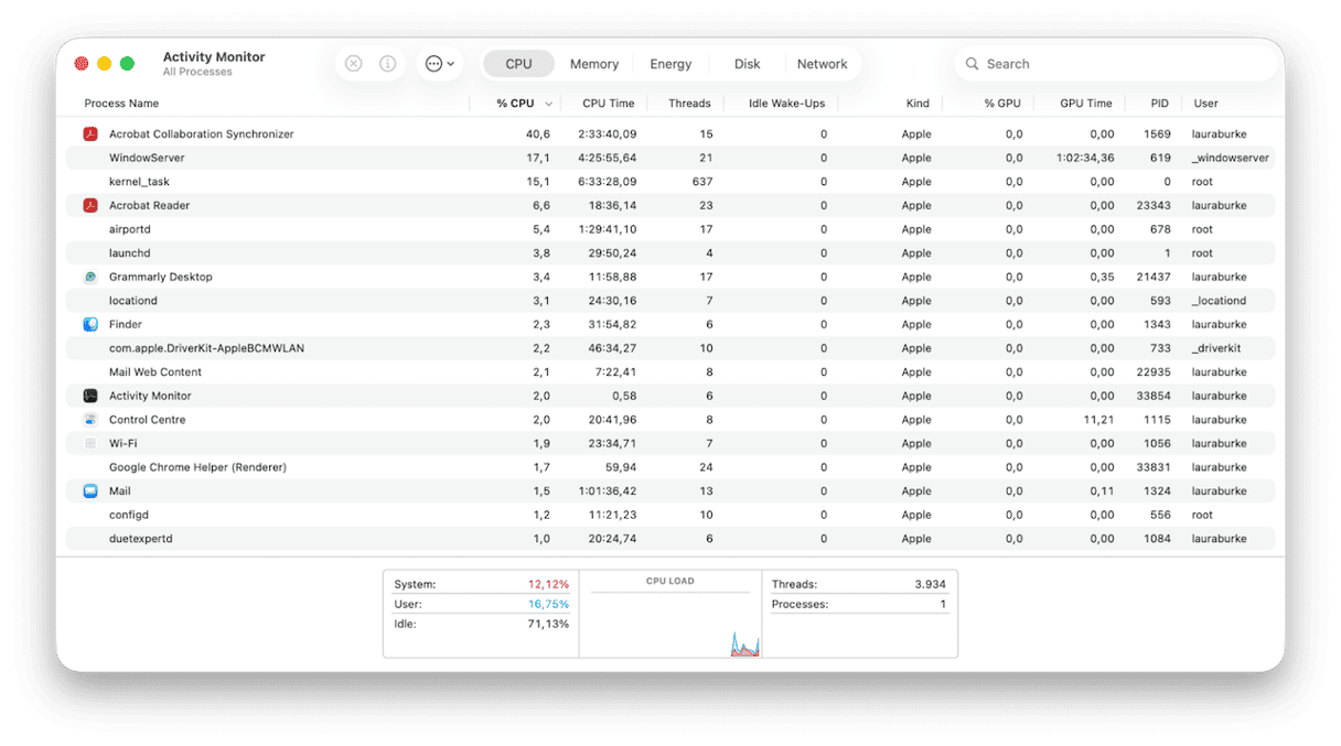 Activity Monitor on Mac