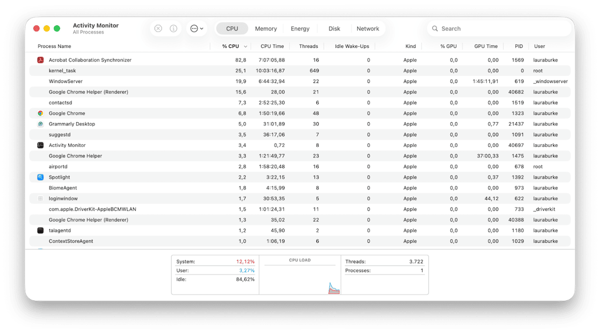 Activity Monitor on Mac