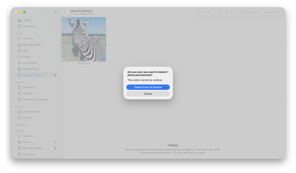 How to delete duplicate photos on Mac