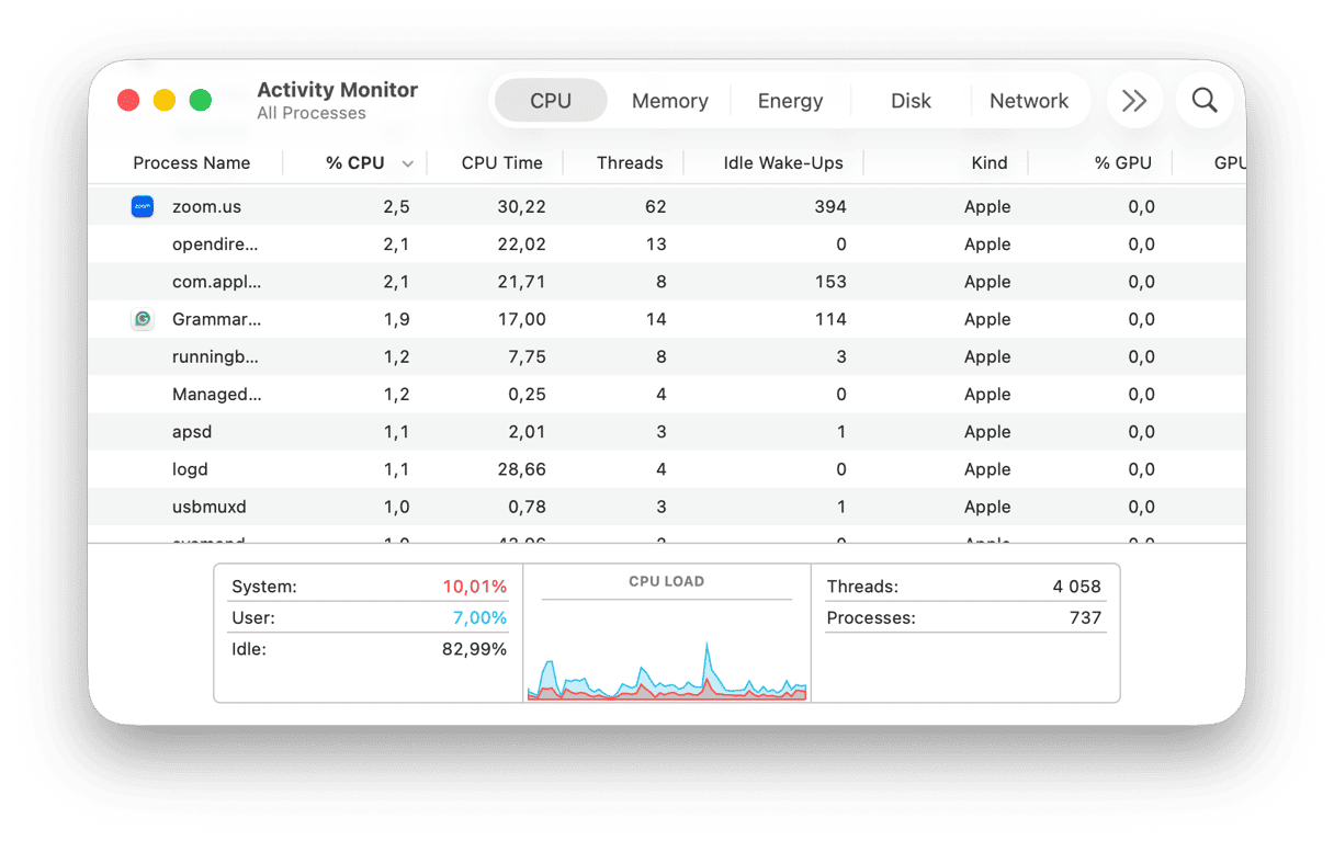 Activity Monitor on Mac