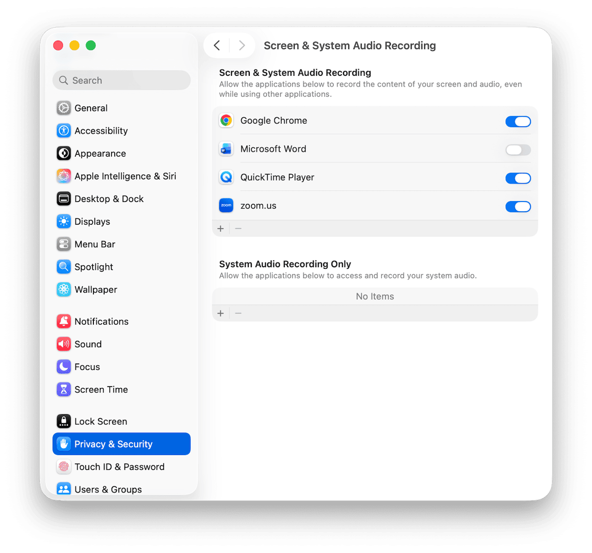 Screen recording permissions