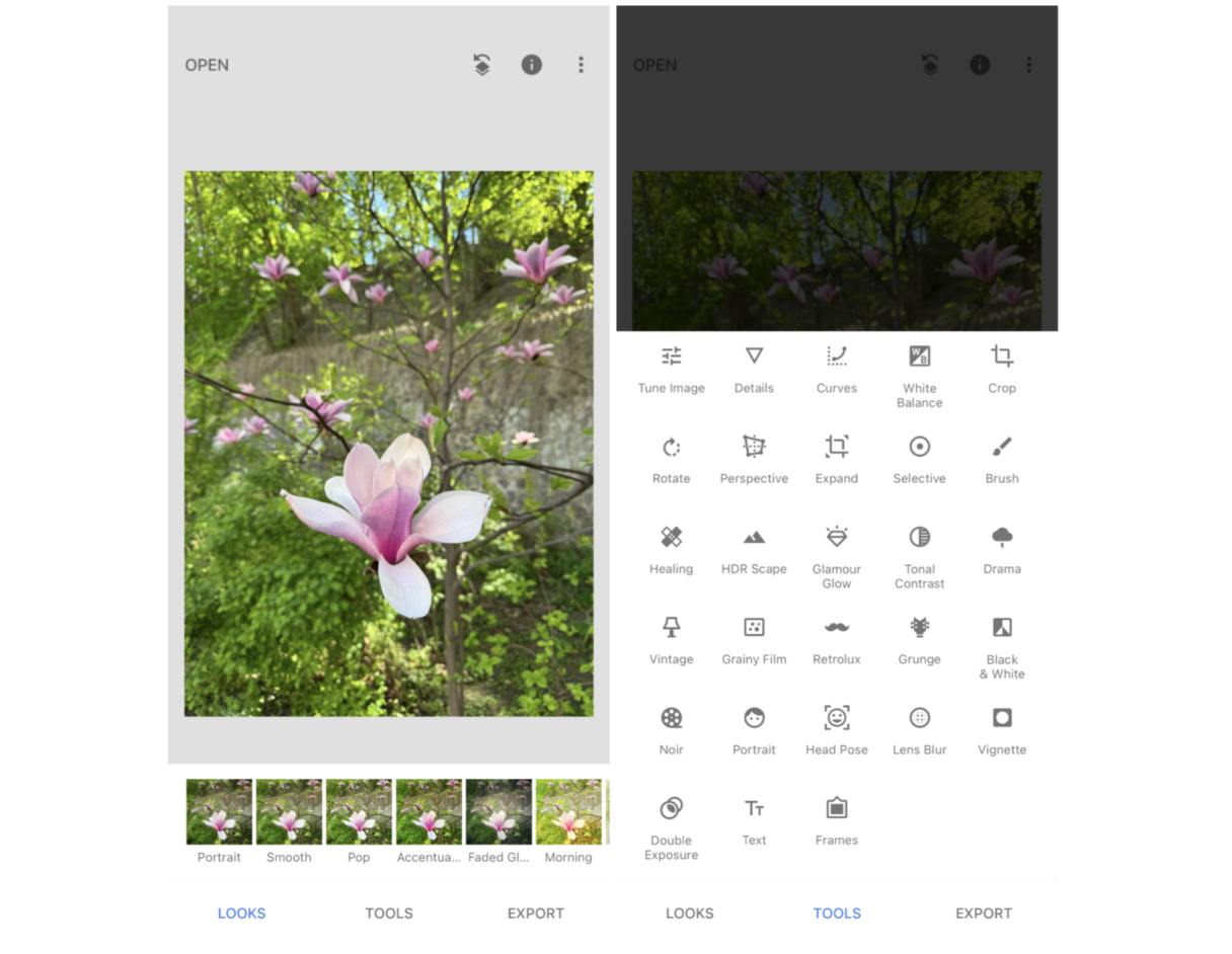 How to blur a picture on iPhone using Snapseed Lens Blur tool