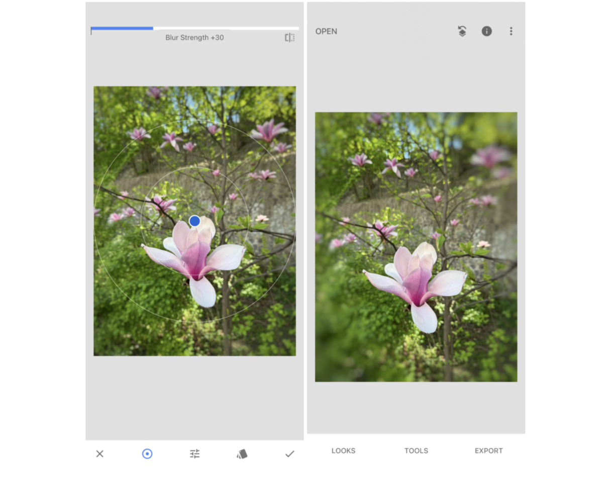 How to blur photo background on iPhone in Snapseed