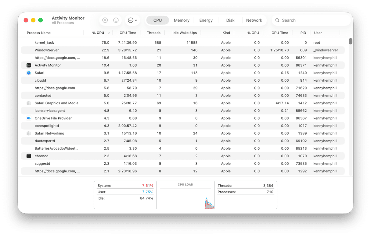 Activity Monitor on Mac