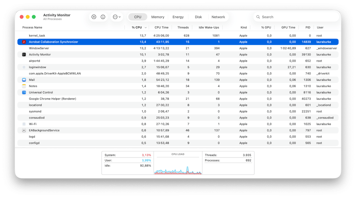 Activity Monitor on Mac