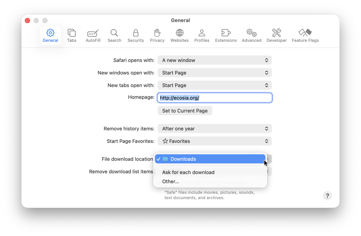 General settings in Safari menu
