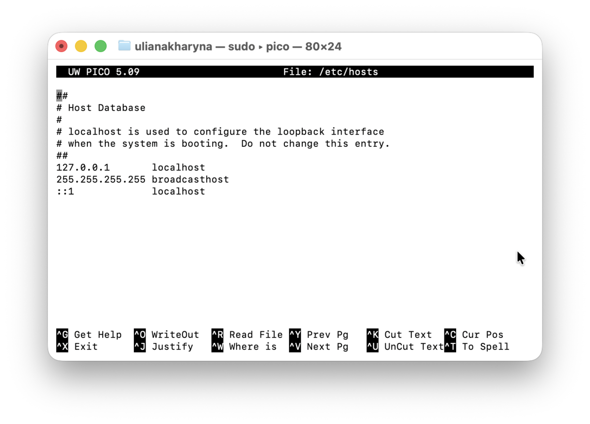 The Nano text editor