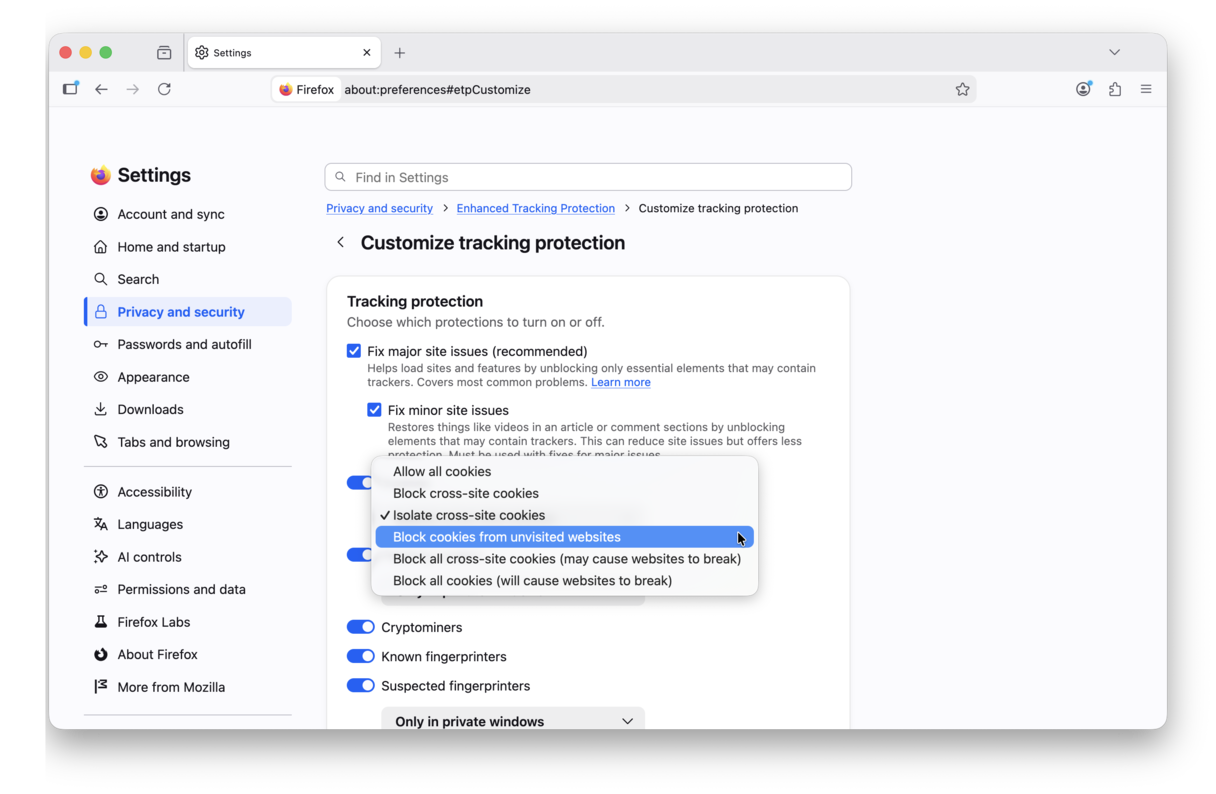 How to customize cookies in Firefox