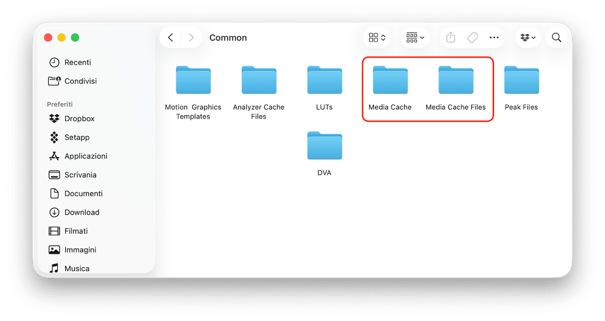 Cerca queste due cartelle: Media Cache e Media Cache Files