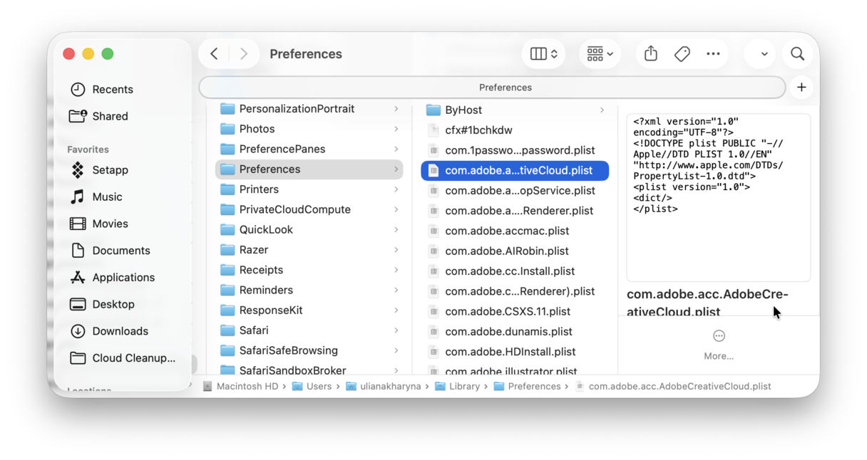 What are Mac System Preferences files
