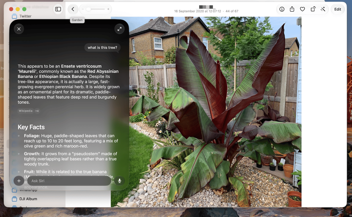 Visual Intelligence feature in macOS Golden Gate