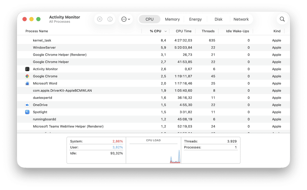 Check Activity Monitor on Mac