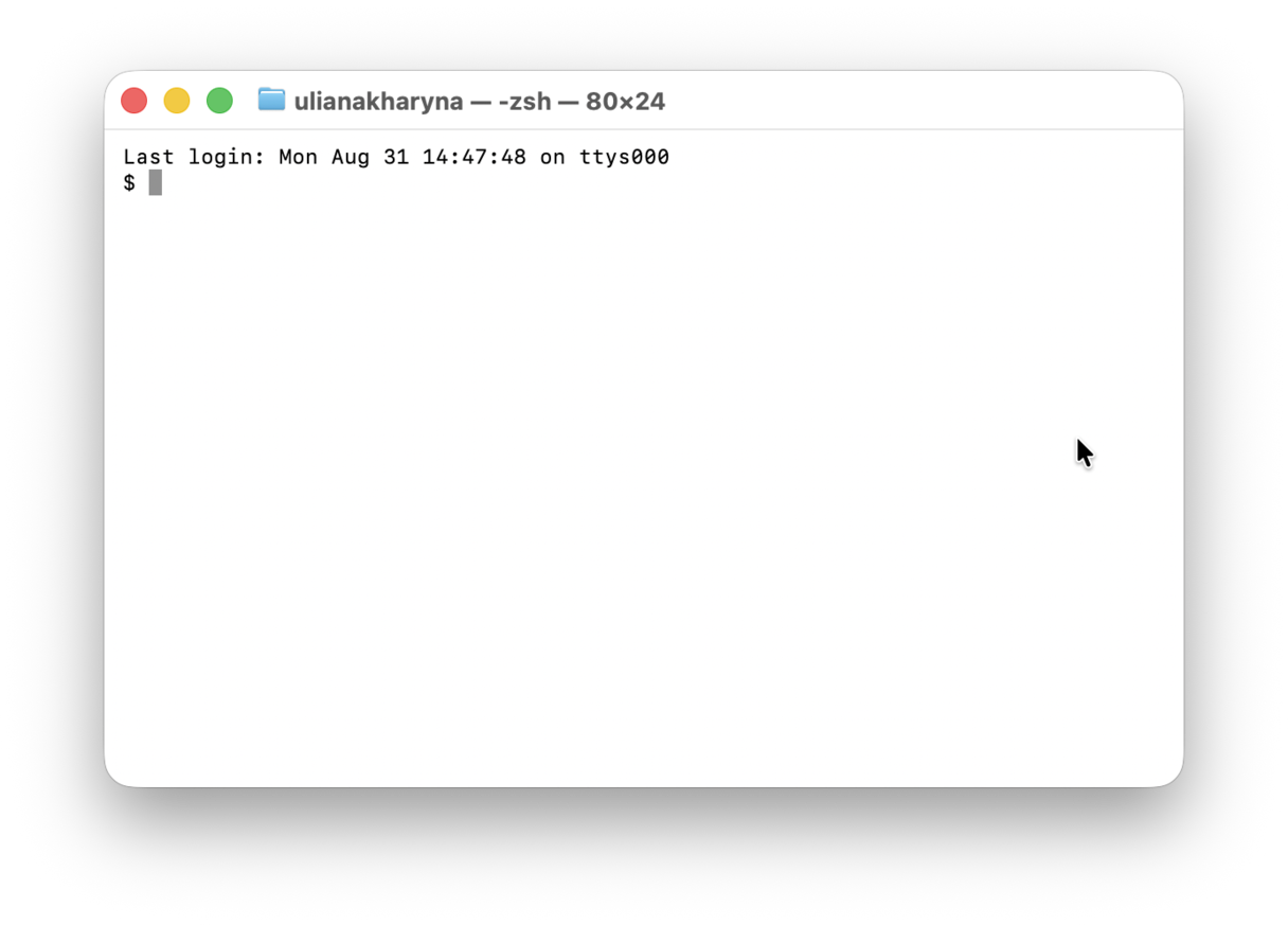 Terminal