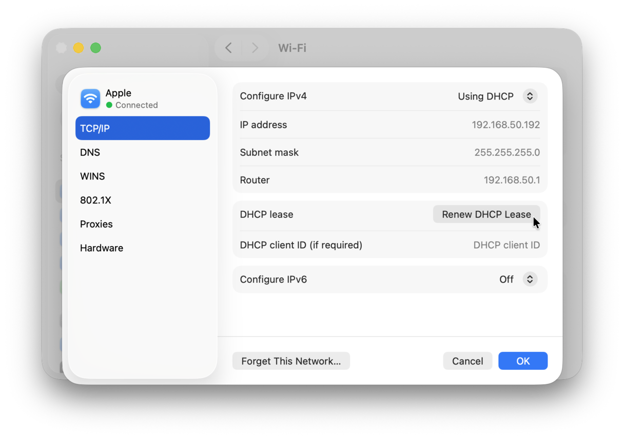 Renew DHCP Lease