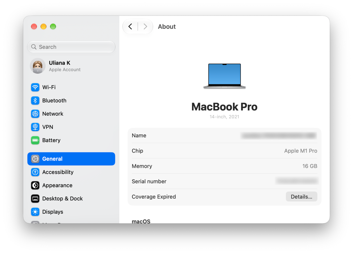 System Preferences - macOS System Settings About section