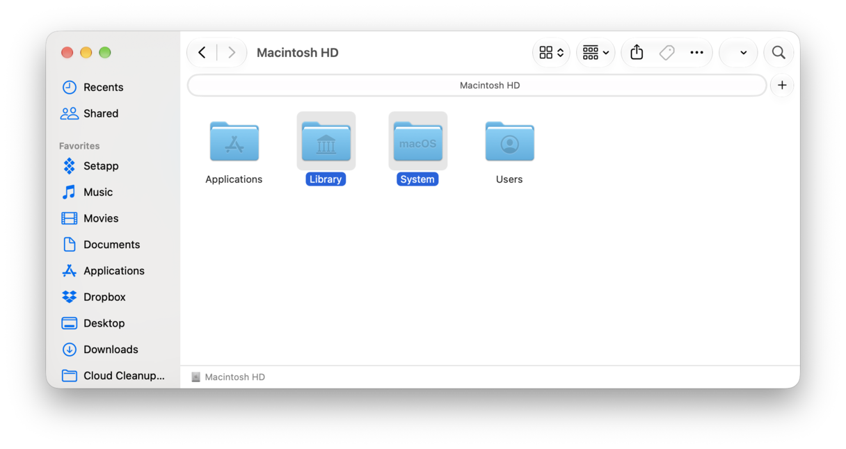 What is System Data on Mac