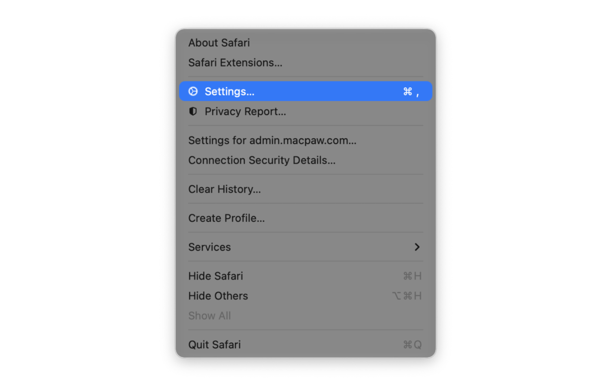 Open Safari settings