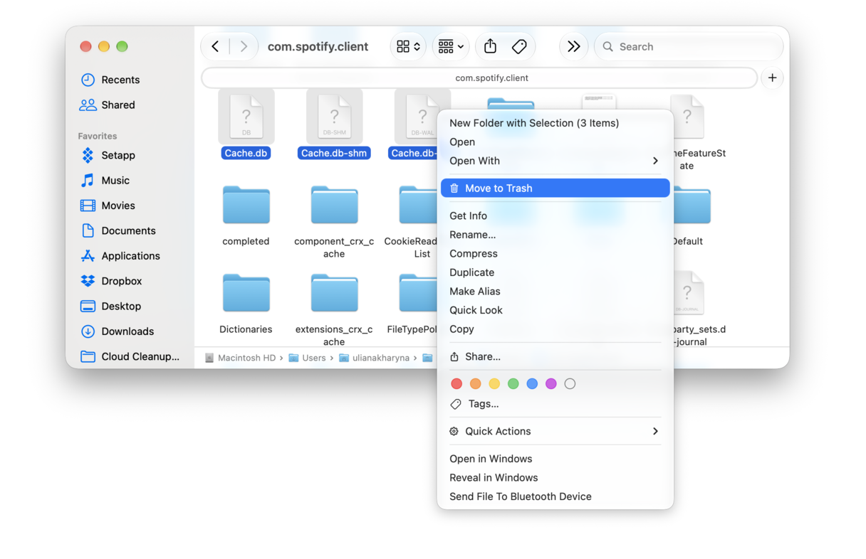 Remove app cache