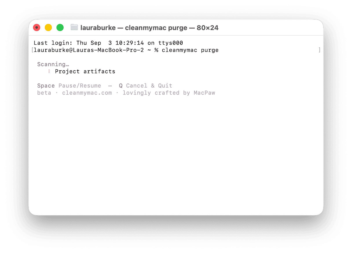CleanMyMac purge command scanning Mac for project artifact files