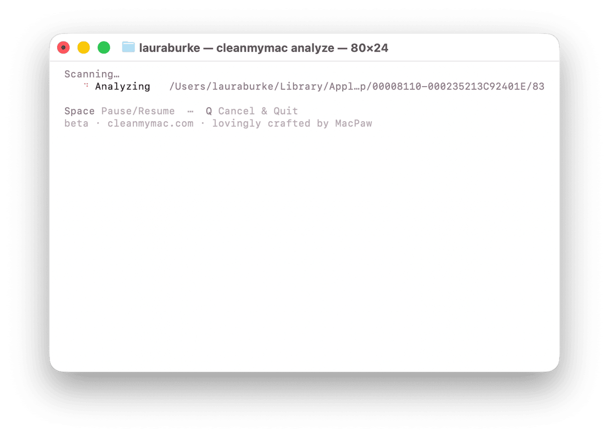 CleanMyMac analyze command scanning Mac library and application files