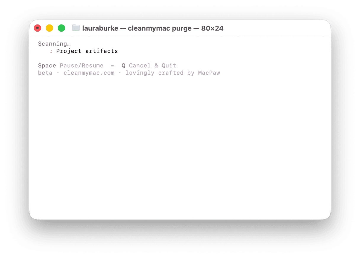 CleanMyMac purge command scanning Mac for project artifact files