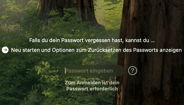 Passwort zur&uuml;cksetzen