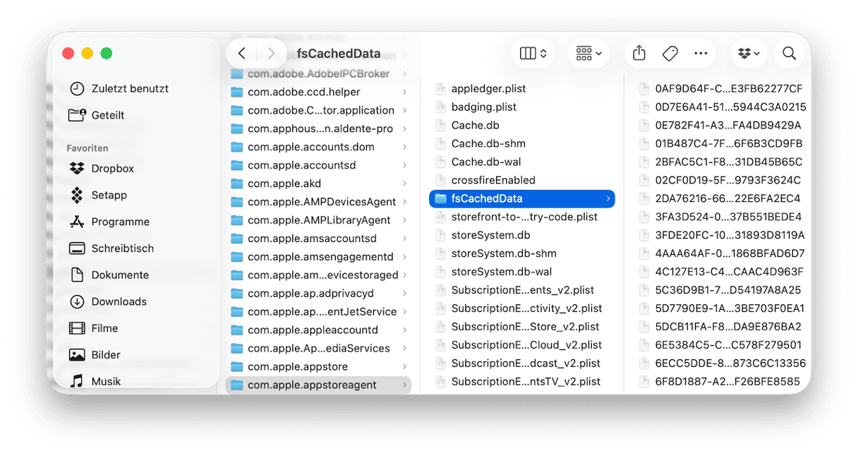 Ziehen Sie den Inhalt des Ordners &bdquo;fsCachedData&ldquo; in den Papierkorb