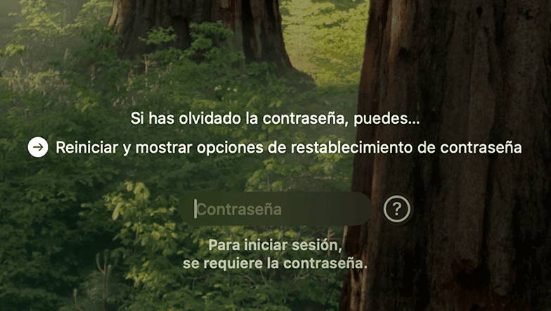 Resetea tu contrase&ntilde;a