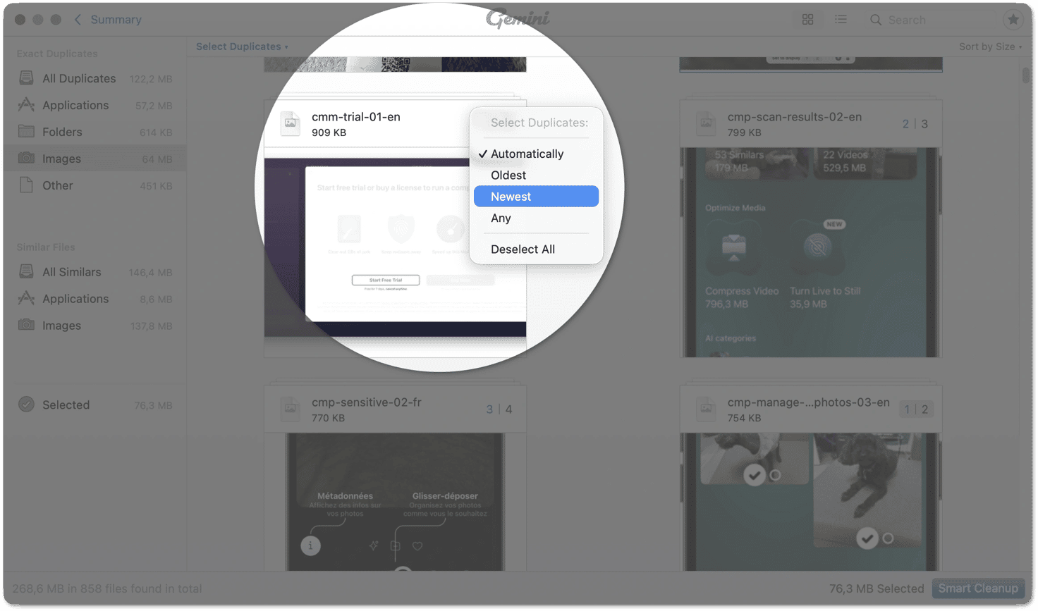 Bulk selection options